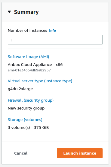 Launch the instance