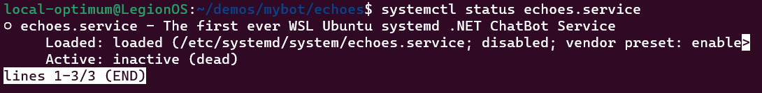 Results of running "systemctl status echoes.service" in the terminal.